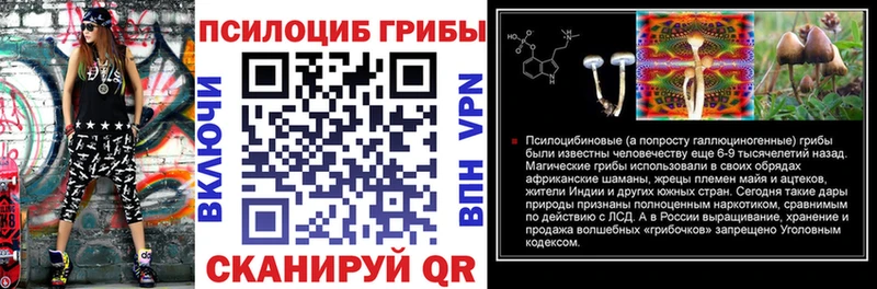Псилоцибиновые грибы ЛСД  цена наркотик  Кинель 