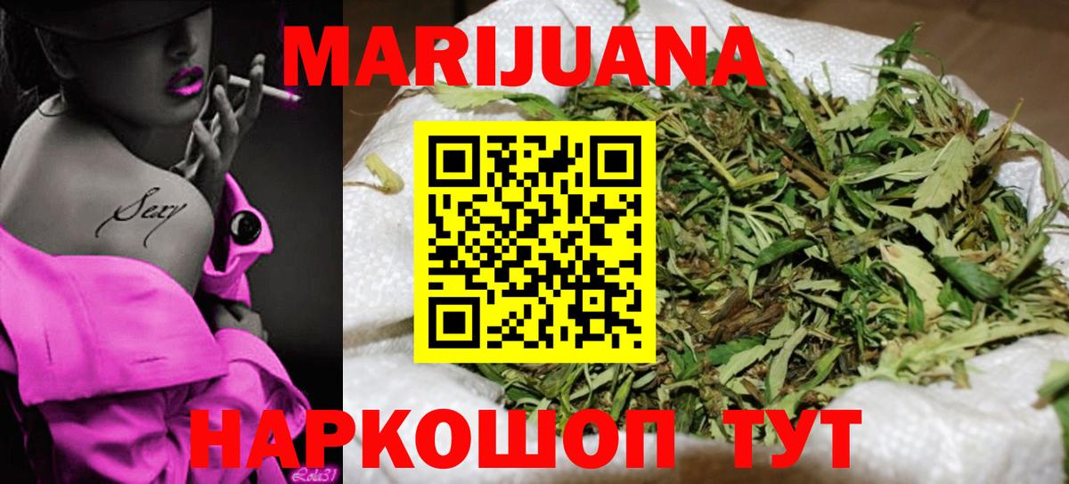 Бошки Шишки план Кинель
